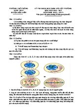 Kỳ thi chọn học sinh giỏi cấp trường Sinh học lớp 9 - Năm học 2016-2017 - Trường THPT Điện Biên